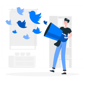 Twitter, Bird, Logo, Evolution, Blue, Platform, Company, Brand, Users, Features.